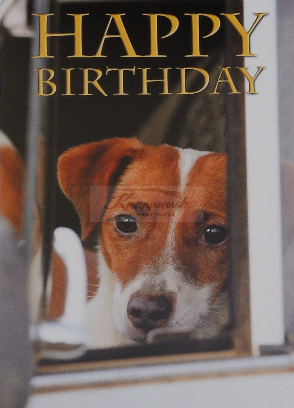 Geburtstagskarte Jack Russell