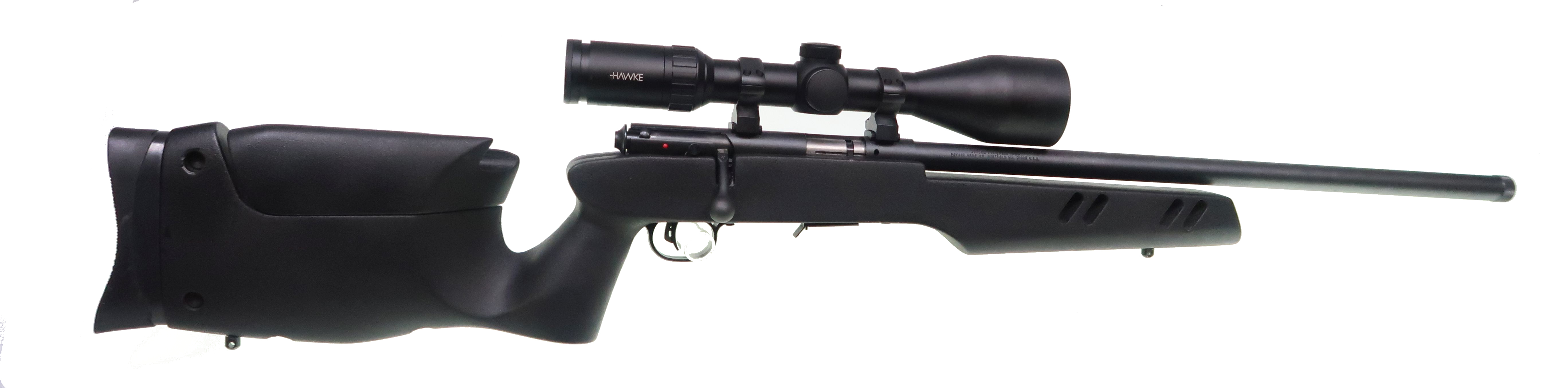 Savage 93R17 17HMR